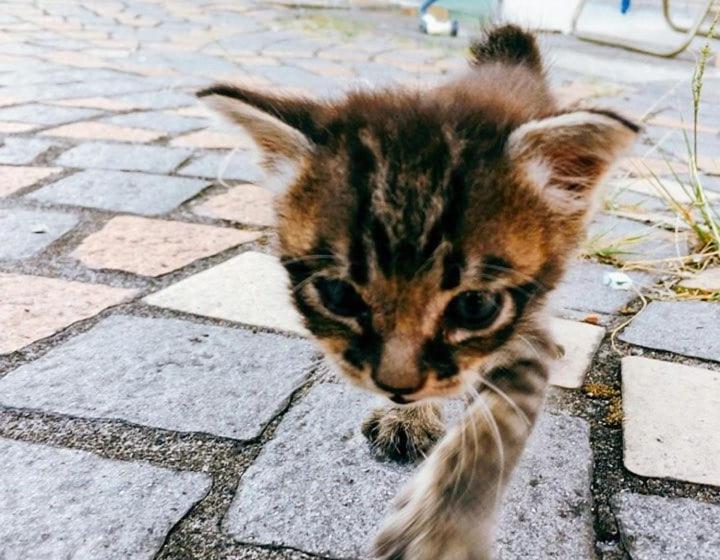 旅馆 Sakai Guest House Amami(堺ゲストハウス奄美)