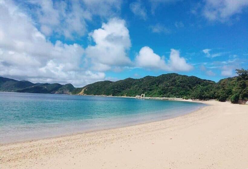 旅馆 Sakai Guest House Amami(堺ゲストハウス奄美)