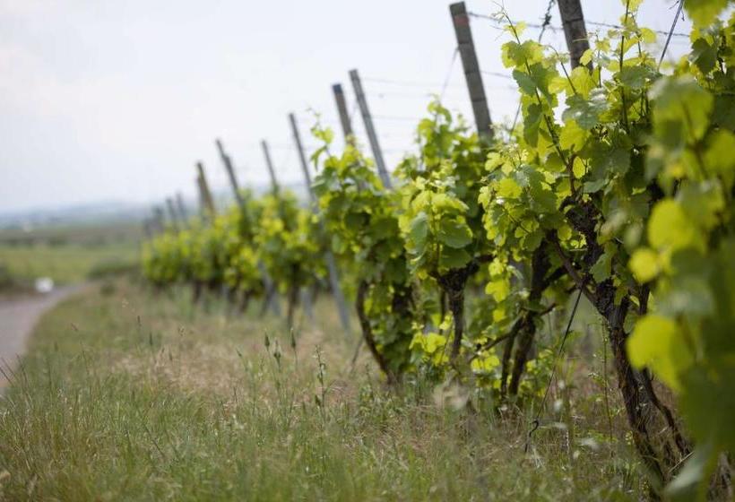 Hospedaria Weingut Schilling