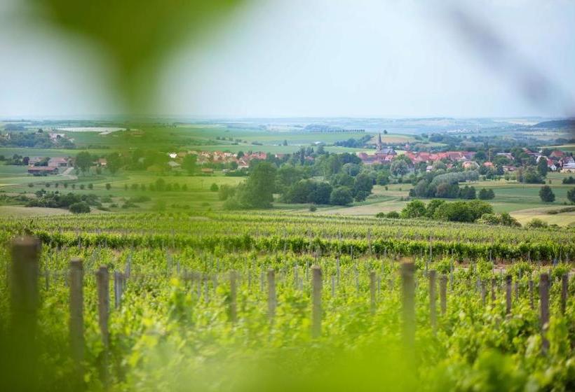 Hospedaria Weingut Schilling