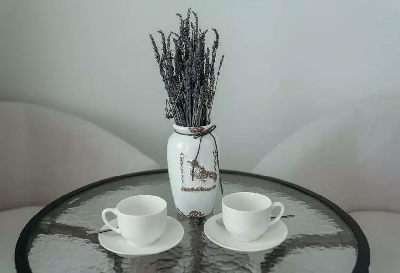 هتل 7 Boutique