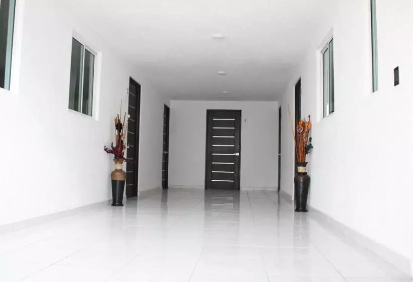 ホテル Hostal Vittoria