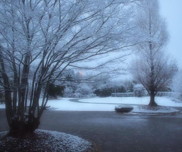 بنسيون Guest House Third Place