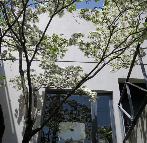 تختخواب و صبحانه Ah87 Osaka