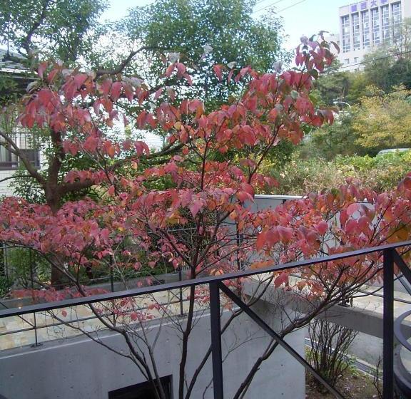 تختخواب و صبحانه Ah87 Osaka