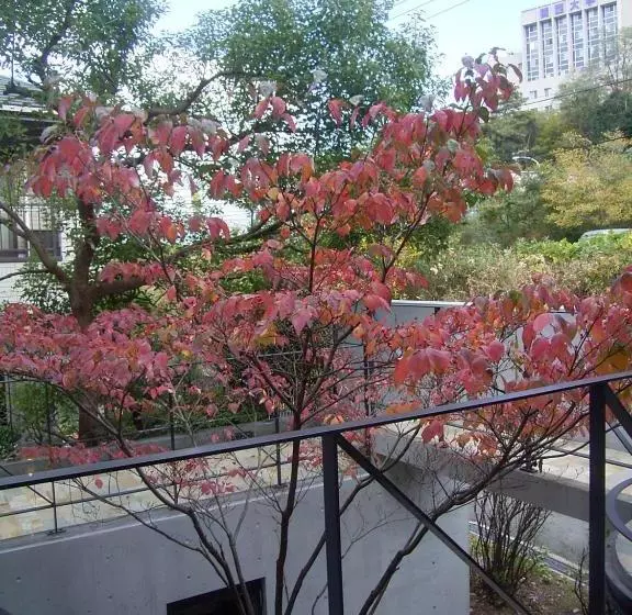 Aamiaismajoitus (B&B) Ah87 Osaka