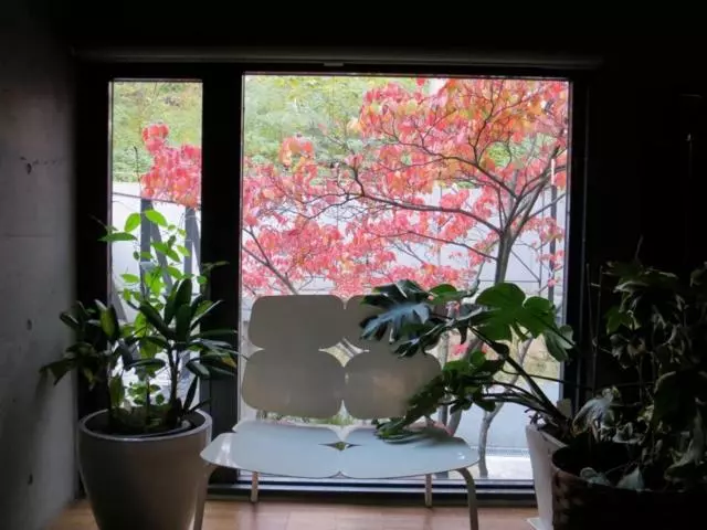 Aamiaismajoitus (B&B) Ah87 Osaka