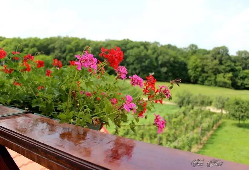 Aamiaismajoitus (B&B) Panorama Cehu Silvaniei