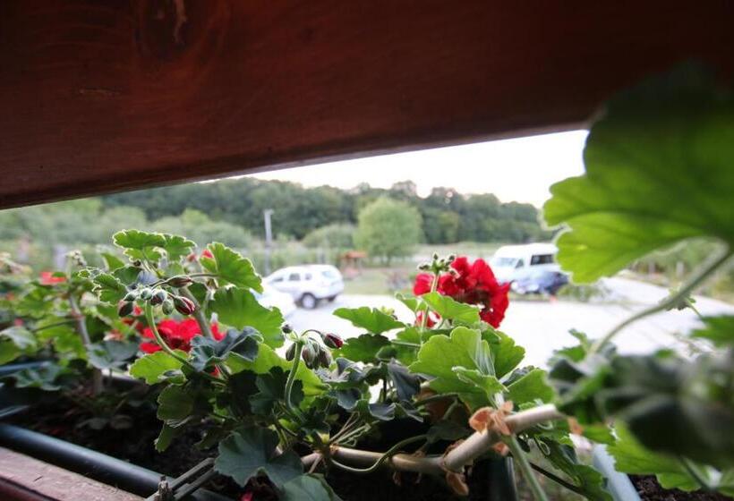 مبيت وإفطار Panorama Cehu Silvaniei