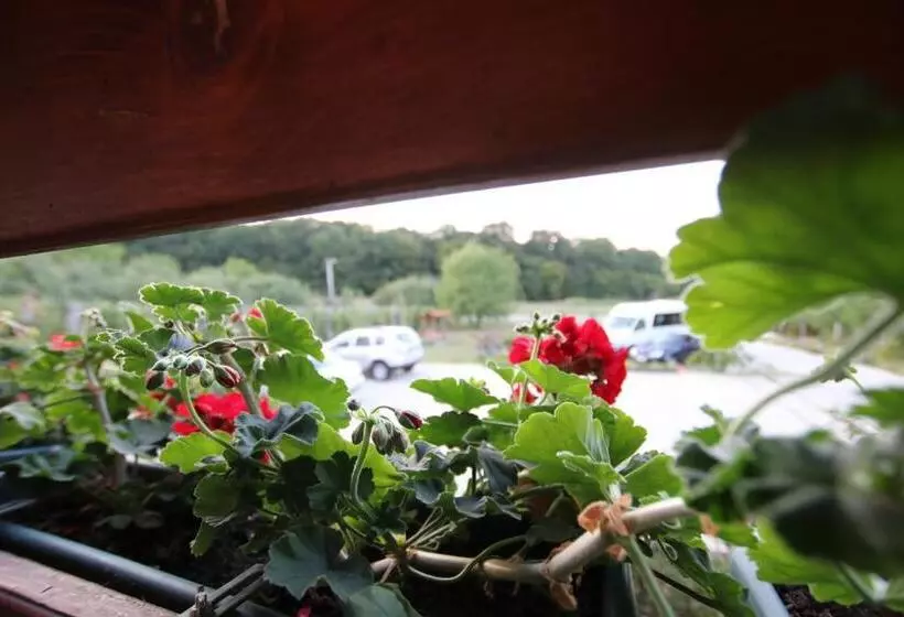 Aamiaismajoitus (B&B) Panorama Cehu Silvaniei