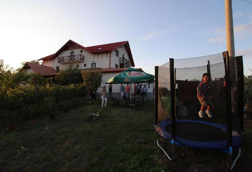 مبيت وإفطار Panorama Cehu Silvaniei