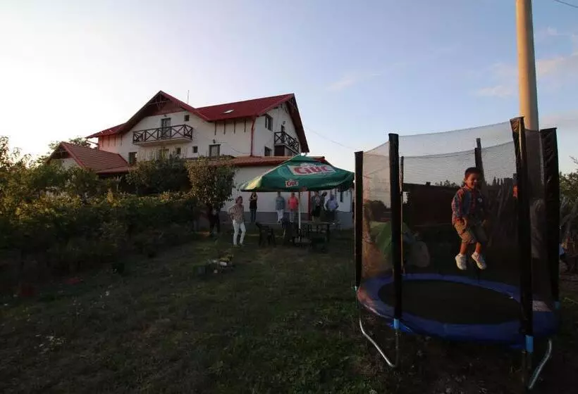 Aamiaismajoitus (B&B) Panorama Cehu Silvaniei