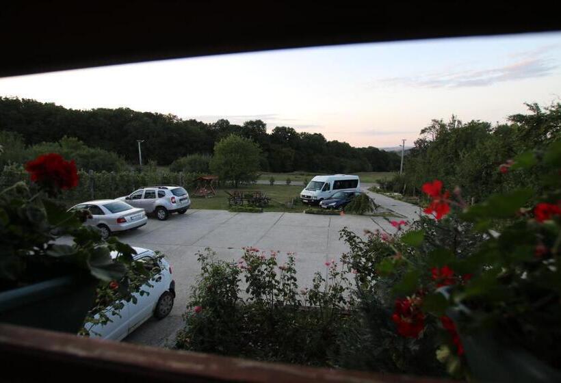 مبيت وإفطار Panorama Cehu Silvaniei