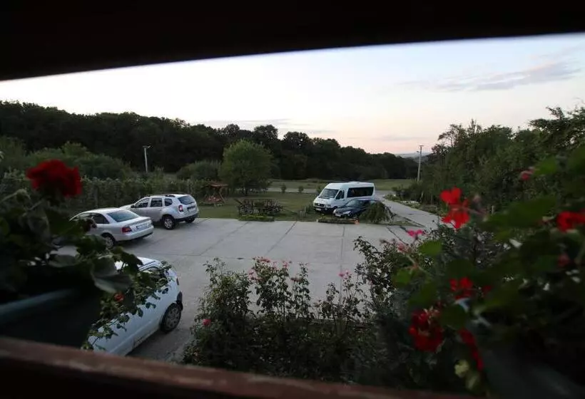 Aamiaismajoitus (B&B) Panorama Cehu Silvaniei