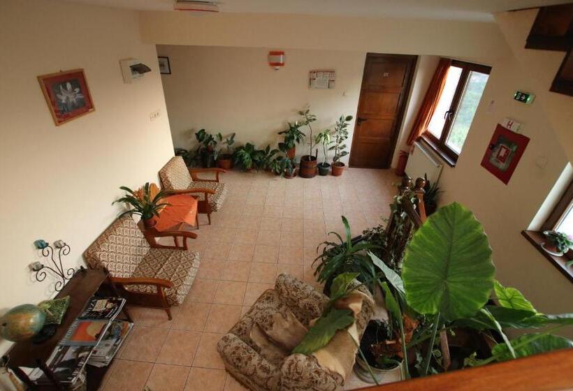 مبيت وإفطار Panorama Cehu Silvaniei