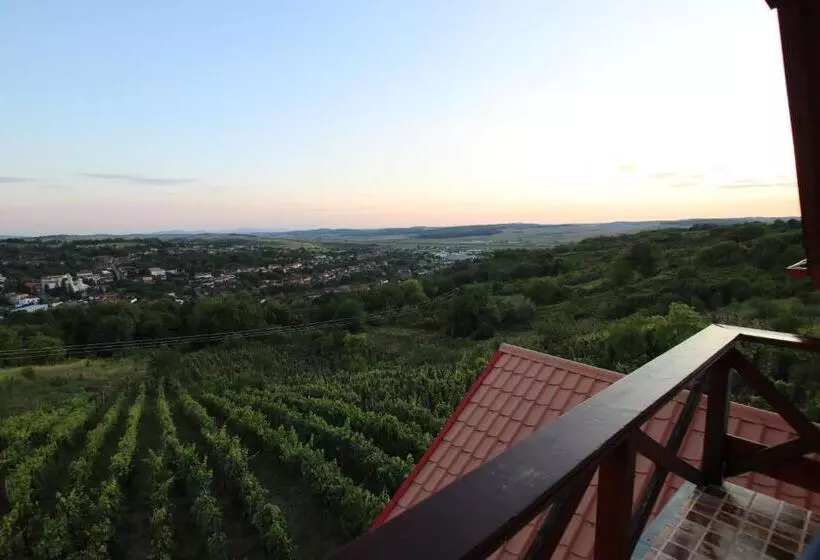 Aamiaismajoitus (B&B) Panorama Cehu Silvaniei