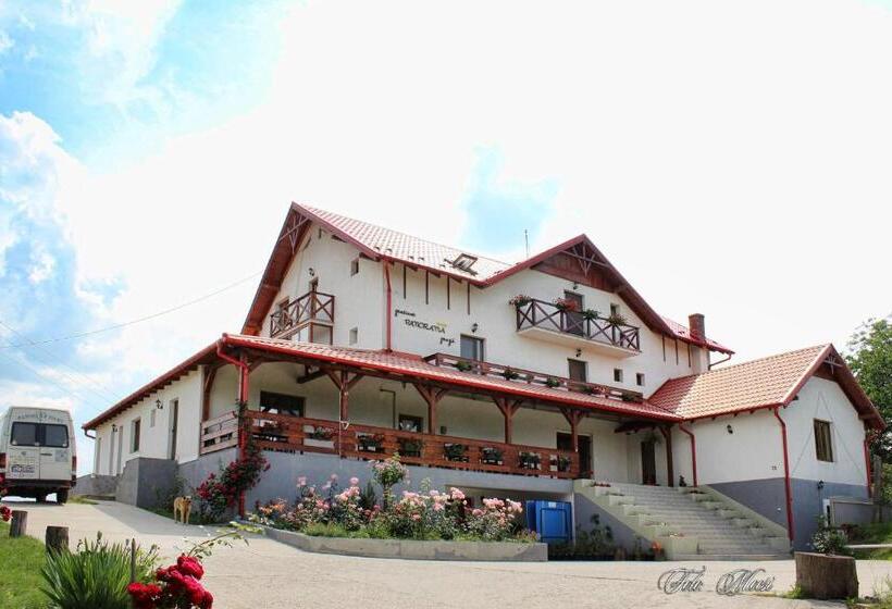 مبيت وإفطار Panorama Cehu Silvaniei