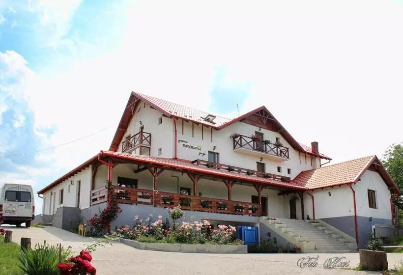 Aamiaismajoitus (B&B) Panorama Cehu Silvaniei