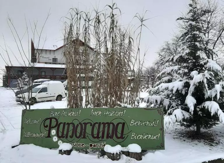 Aamiaismajoitus (B&B) Panorama Cehu Silvaniei