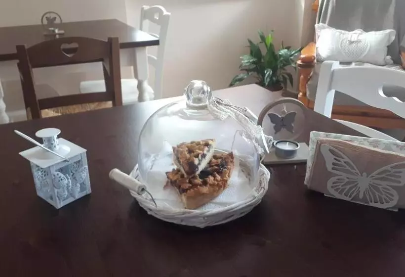 Butterfly B&b