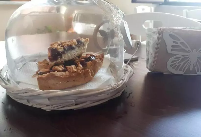 Butterfly B&b