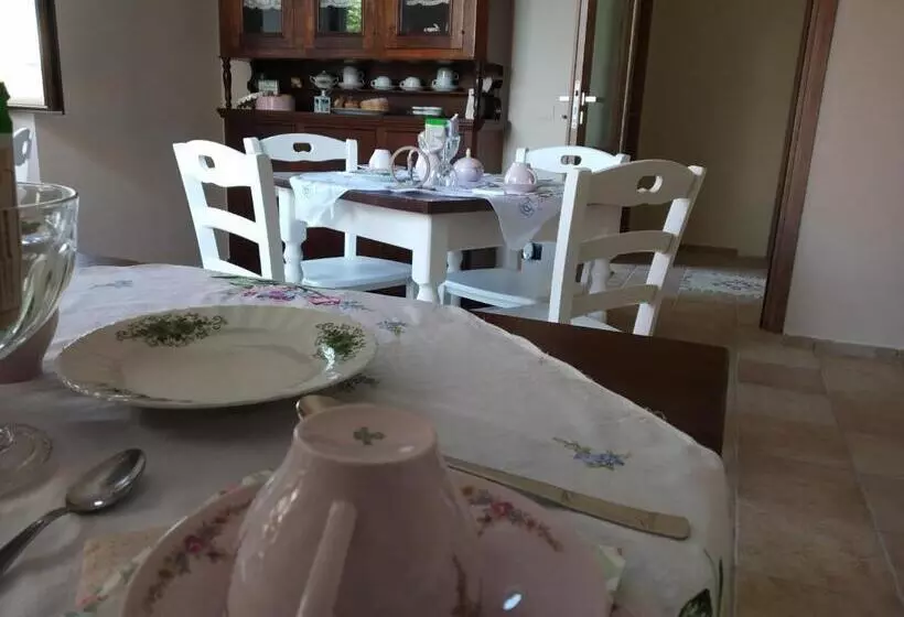 Butterfly B&b