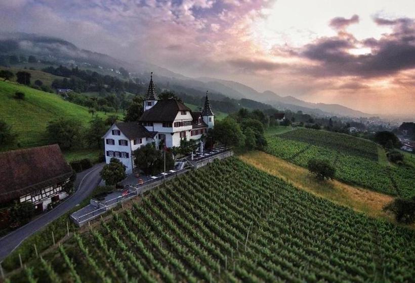 호텔 Schloss Weinstein