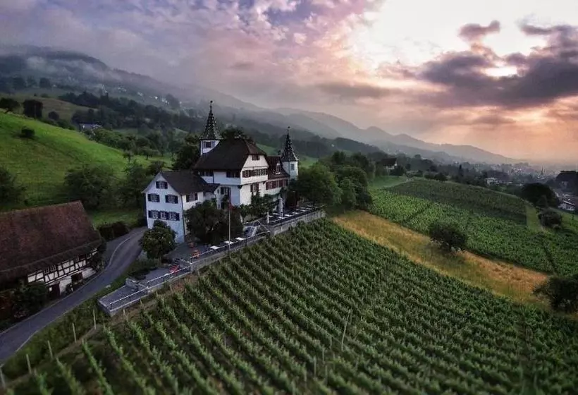 ホテル Schloss Weinstein