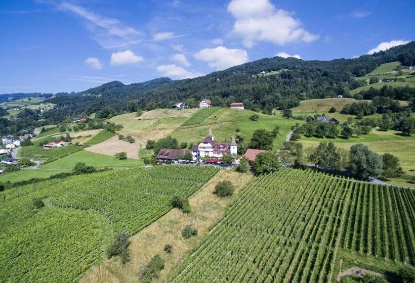 호텔 Schloss Weinstein