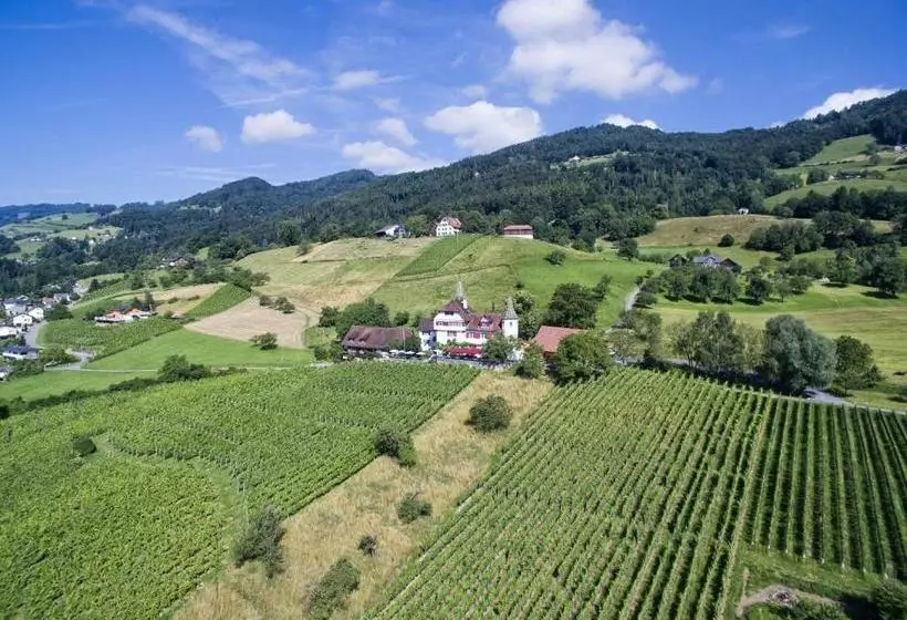 ホテル Schloss Weinstein