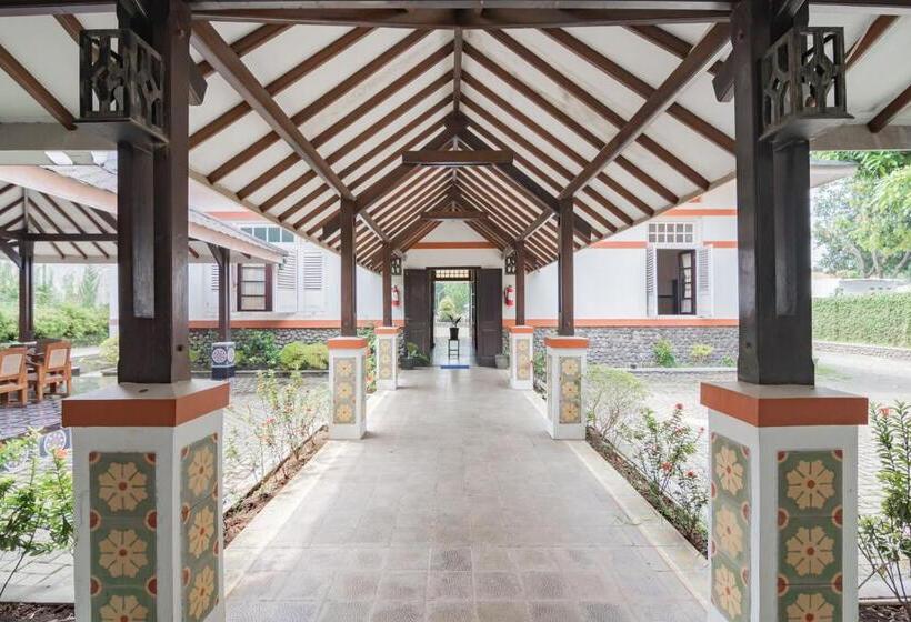 פנסיון Reddoorz Syariah @ Kolonial Guest House