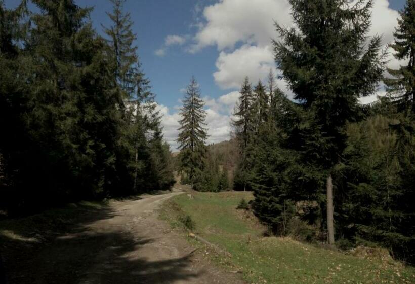 פנסיון Wooddream