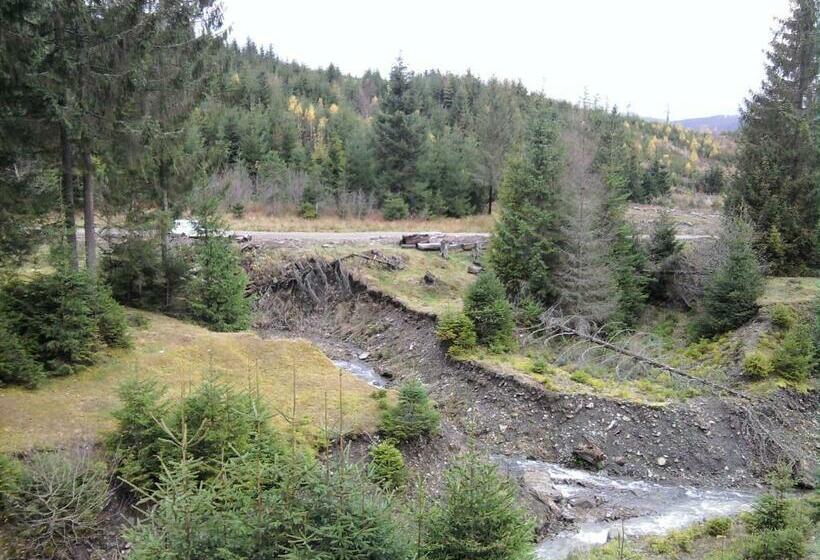 פנסיון Wooddream