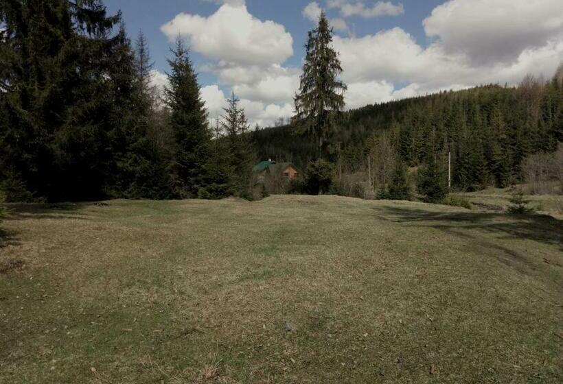 פנסיון Wooddream