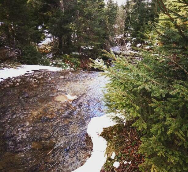 פנסיון Wooddream