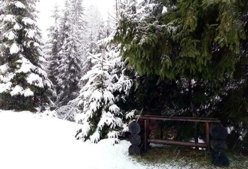 פנסיון Wooddream