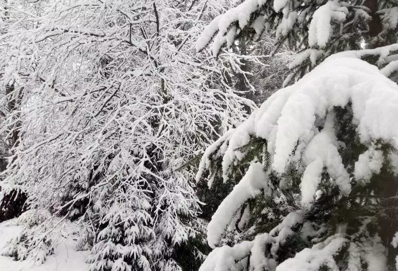 ペンション Wooddream