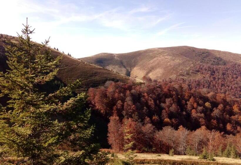 פנסיון Wooddream