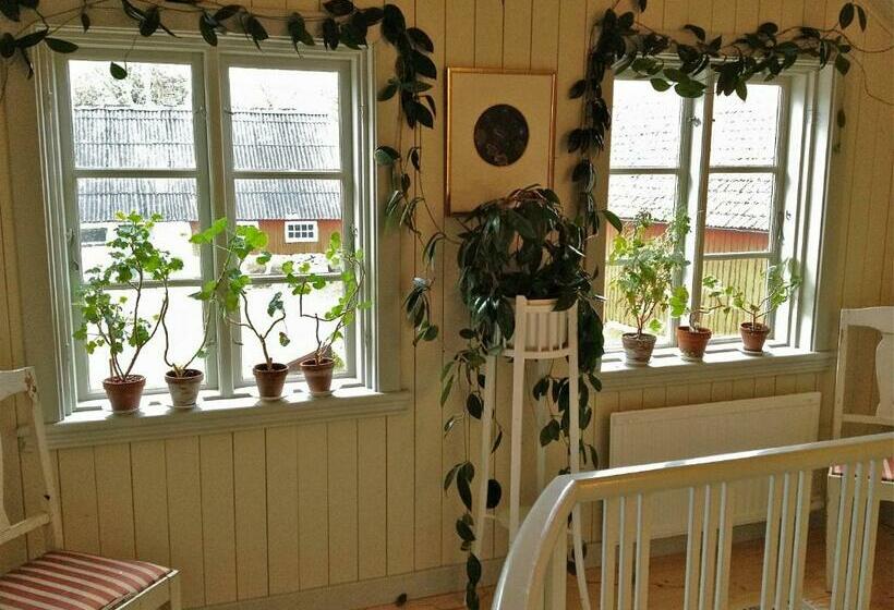 민박 Vildrosor & Höns