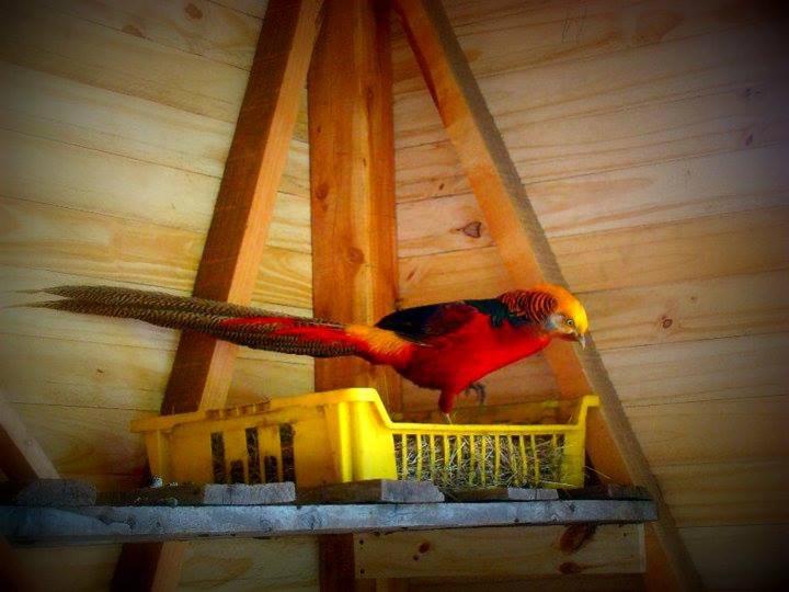 Cabanas ´portal Norte