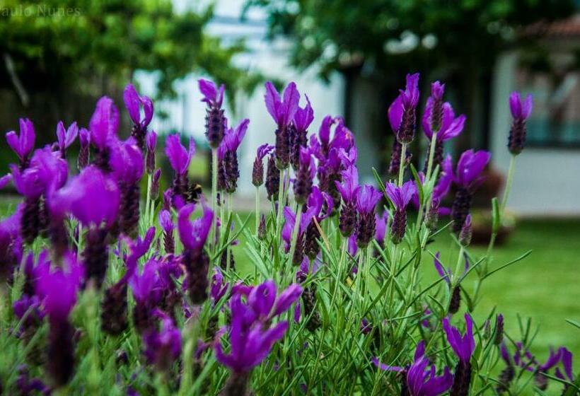 فندق Casa Da Noquinhas