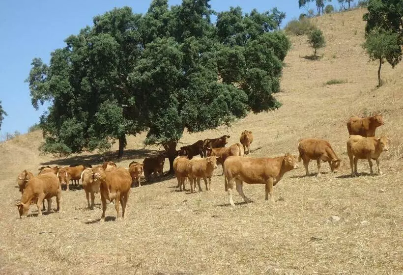 ホテル Herdade Dos Montes Bastos