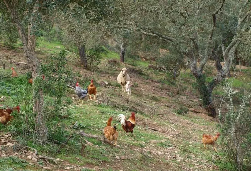 ホテル Herdade Dos Montes Bastos