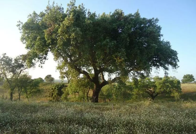 ホテル Herdade Dos Montes Bastos