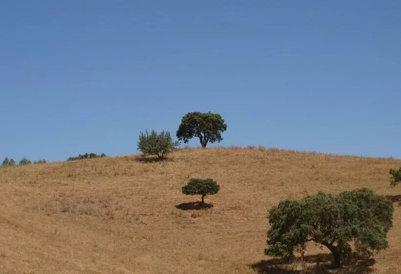 ホテル Herdade Dos Montes Bastos