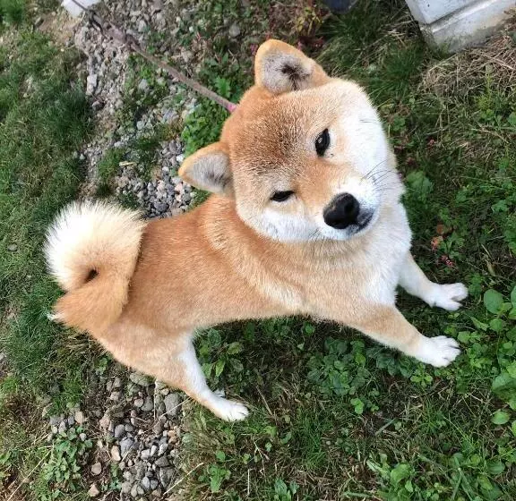 Majatalo Azumino Backpackers 山の風