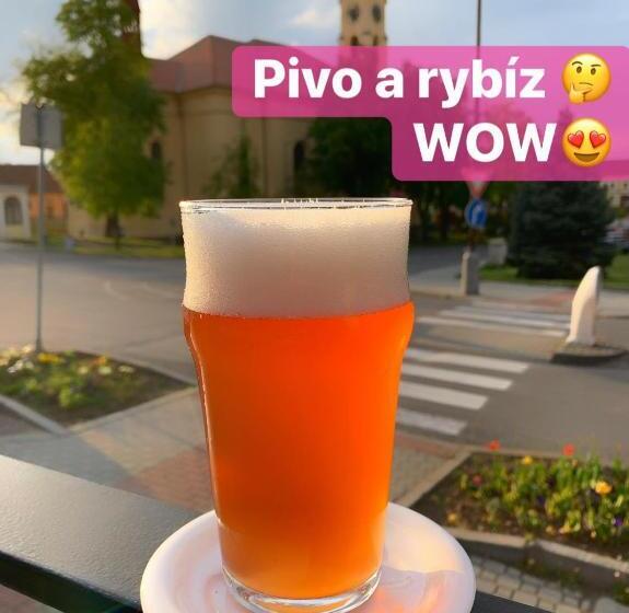 פנסיון Penzion U Broucka