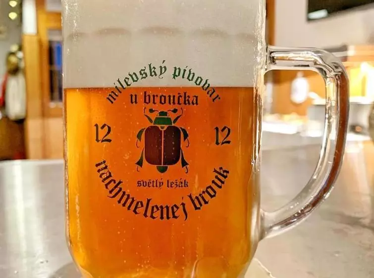 Majatalo Penzion U Broucka