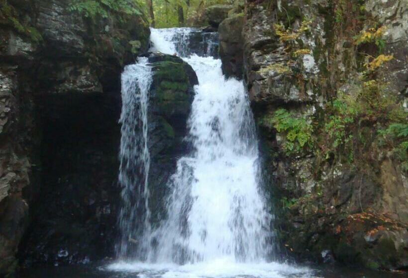 Pensiunea Adi Sapinta