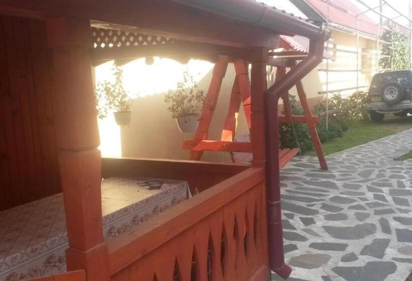 Pensiunea Adi Sapinta